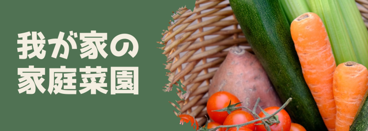我が家の家庭菜園